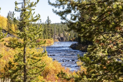 Gardner River Yellowstone NP 2024